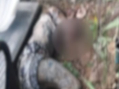 科伦坡港口城中国人团伙冲突致多人伤亡 一名失踪中国公民遗体被发现
